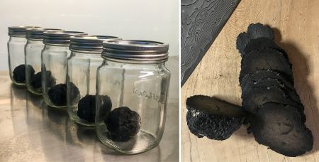 The moss chambers in Pretoria where truffles are grown by scientists