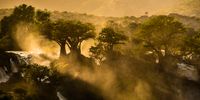  Epupa Falls Sunrise with Baobabs – Kuneni River - Namibia. Photographer: Neville Lance (www.nevillelance.com)