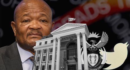 Mystery of the latest fake online campaign — in favour of police minister Senzo Mchunu