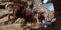  People take part in the traditional running of the bulls named 'El Pilon' down the slope of a mountain in Falces, Navarra, northern Spain, 13 August 2024. The bull run is held at 'Pilon de Falces', a 800m downhill mountain trail with a rock wall on one of the sides of the path and a cliff on the other.  EPA-EFE/JESUS DIGES