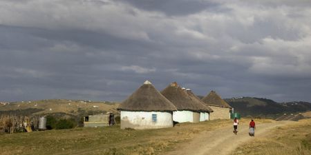 Survival and solidarity in the face of a crisis