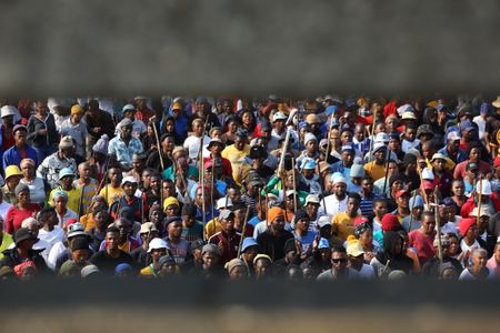 Swellendam protestors demand end to indigent policy, improved services — DA touts political meddling