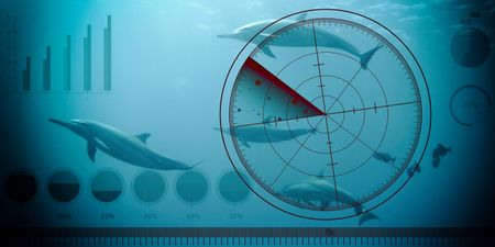 Searcher to leave South Africa immediately after court prohibits seismic survey