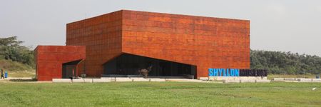 Times of struggle: how can museums survive the pandemic