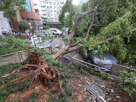 Typhoon Dolphin floods central China, puts Beijing on alert for heavy rain