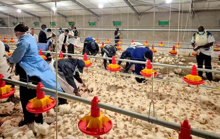 Daybreak Foods business rescue — a new board fails to instil hope in workers