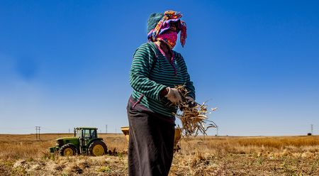 Food dialogue: Sustainable systems are vital to South Africa