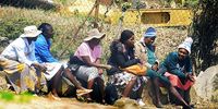 MC-Zanu PF