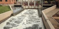 The Rooiwal Waste Water Treatment Works during the tour by President Cyril Ramaphosa on 8 June 2023. (Photo: Felix Dlangamandla)