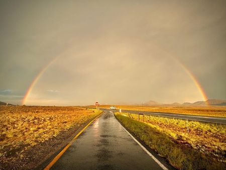 I have a picture for you! 17 January-23 January 2026