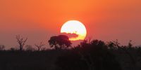 Not just another sunset.