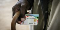 Grants grow, SRD extended and Sassa tightens checks to cut fraud