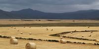 Inland Overberg is all about wheatfields, brooding mountains and canola. Photographer: Chris Marais