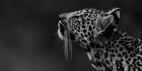 Looking up. Image: Tim Prettejohn photography