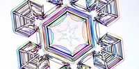 Snowflake. Image: Kenneth G. Libbrecht