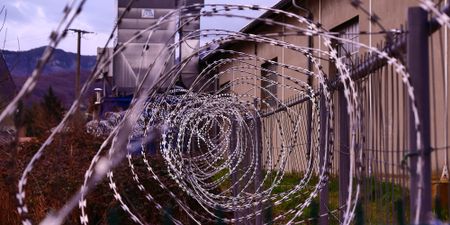 Daily roll call of arrests, NPA prosecutions and convictions – 7 February 2022