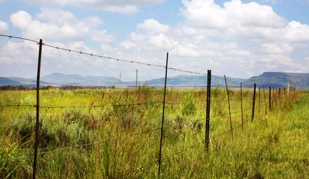 TRAINSPOTTER: Cow Patsy – How Ace Magashule, and his Gupta dairy scam in Vrede, explain Jacob Zuma’s final hours