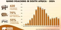Skukuza Rhino poaching infographic helping rhinos.(Supplied)