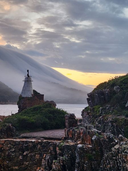 I have a picture for you! 22 March-28 March 2025