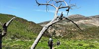 Walking the Leopard Trail — Four days of fynbos, fatigue and fierce resilience