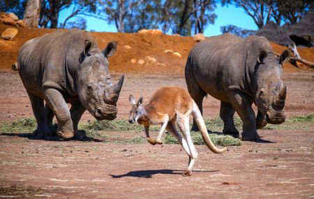 Last week in pictures - 21 September 2019