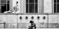 "Indifference To The Draped Lady". Captured in Esplanade du Trocadero, Paris, in 2021. © Ludovic Le Guyader, France, Shortlist, Open, Street Photography, 2022 Sony World Photography Awards