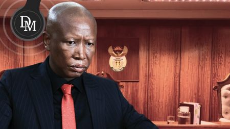 Watch: Julius Malema — Conviction, sentencing, and the battle for the JSC
