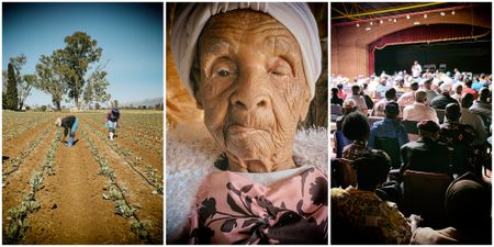 R462m ‘megafarm’ land reform project in disarray after North West department fails to release funding