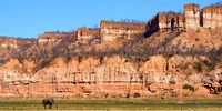 Elephants forage beneath the Chilojo Cliffs in Gonarezhou National Park. (Photo: Bad Rabbit Studio)