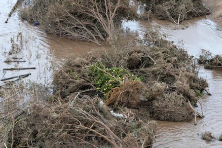 ‘My mind doesn’t want to do that maths’ — Kouga farmers count their losses