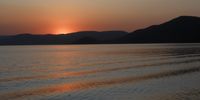 Solice in Loskop Dam. Photographer: Nic Noordergraaf