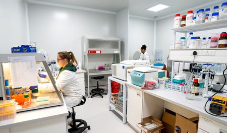 Inside South Africa’s mRNA hub – what it looks like and how it works