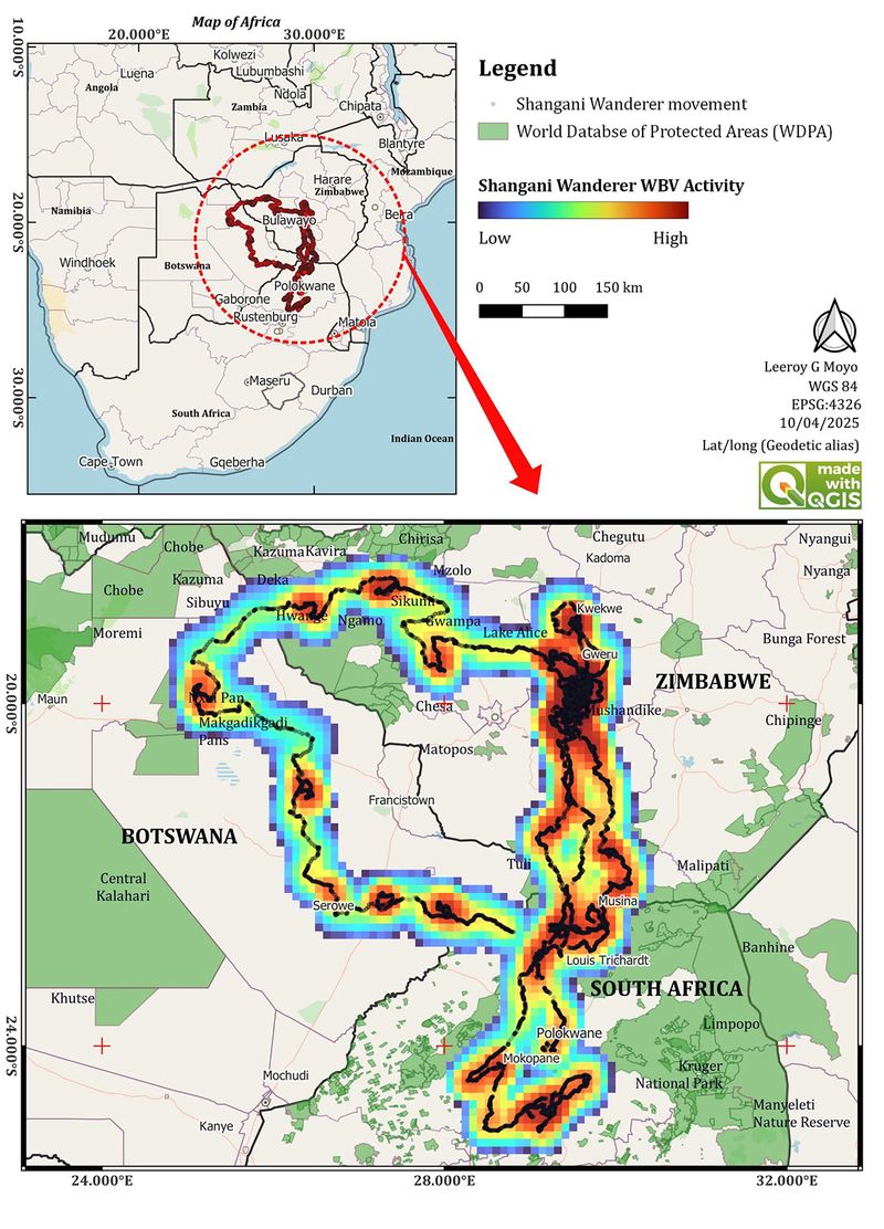 Tracking the Shangani Wanderer — vulture survival and hope from the skies