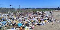 Municipal waste failures undermine South Africans’ right to a healthy environment, committee told