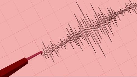 ‘Our whole house shook’ — residents reel from earthquake and aftershocks in the Northern Cape