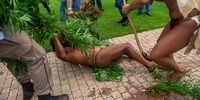 King Khoisan SA struggles with police after they removed one of his dagga plants.   (Photo: Alet Pretorius)