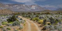 Breathtaking Karoo. Photographer: Werner du Plessis