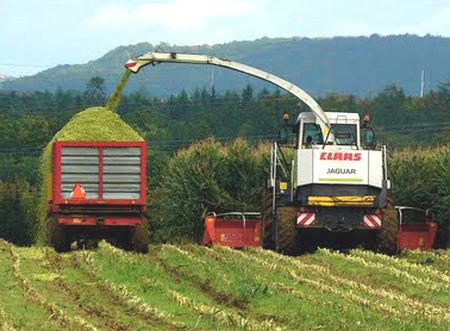 Optimism takes root: SA agribusiness confidence shoots up in Q3