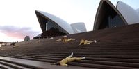 SYDNEY, AUSTRALIA - MAY 18: Dancers perform on the monumental steps at Sydney Opera House on May 18, 2022 in Sydney, Australia. 'Encounter Sydney' is a site-specific dance work featuring dancers from Western-Sydney-based company WE ARE HERE. (Photo by Mark Metcalfe/Getty Images)