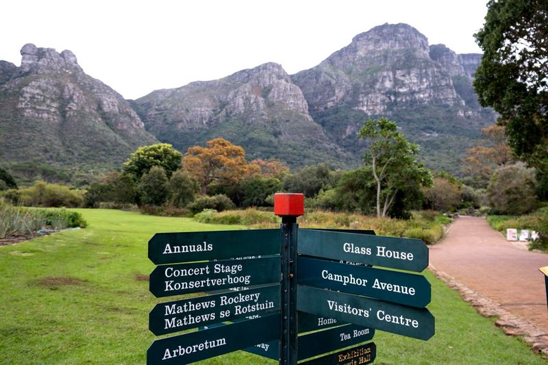 Kirstenbosch: is a national treasure coming apart?