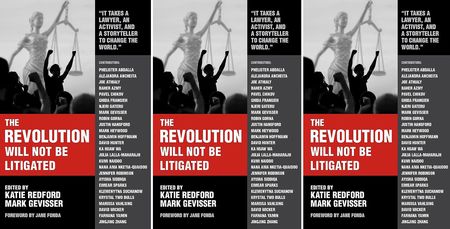 Social justice - 'It takes a lawyer, an activist and a storyteller to change the world'