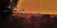 Sunset on the crocodile river. Photographer: Tom Bunch