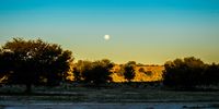 Kgalagadi Moonrise at sunset - for approximately 48 hours either side of a full moon the moon rising can be seen at the same time as the sun setting. Photographer: Neville Lance