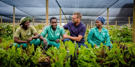Justin Bonello’s farm project aims to fix a broken food system