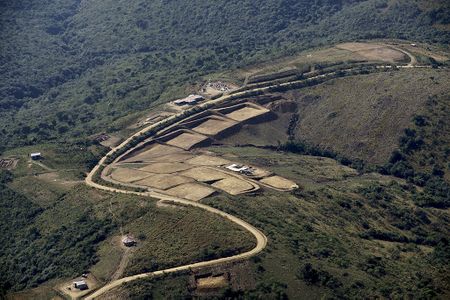 How to steal a game reserve: poach animals, sell plots and threaten those in your way