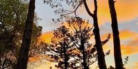 Sunrise in the park 
