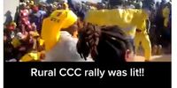 Sample screengrab of videos using the hashtag #ZanuPfMustGo. (Source: CfA using TikTok)