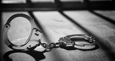 Daily roll call of arrests, NPA prosecutions and convictions – 2 February 2022