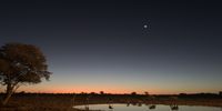 Party at the Okaukuejo waterhole, Etosha.<br>Three rhino, of which one is their very small calf, two elephant, four giraffe, a fox, Venus and a shard of moon.