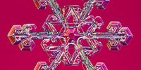 Snowflake. Image: Kenneth G. Libbrecht